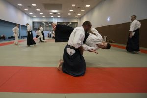 aikido - amiens - 2014 0155 - gevuca - leandre leber