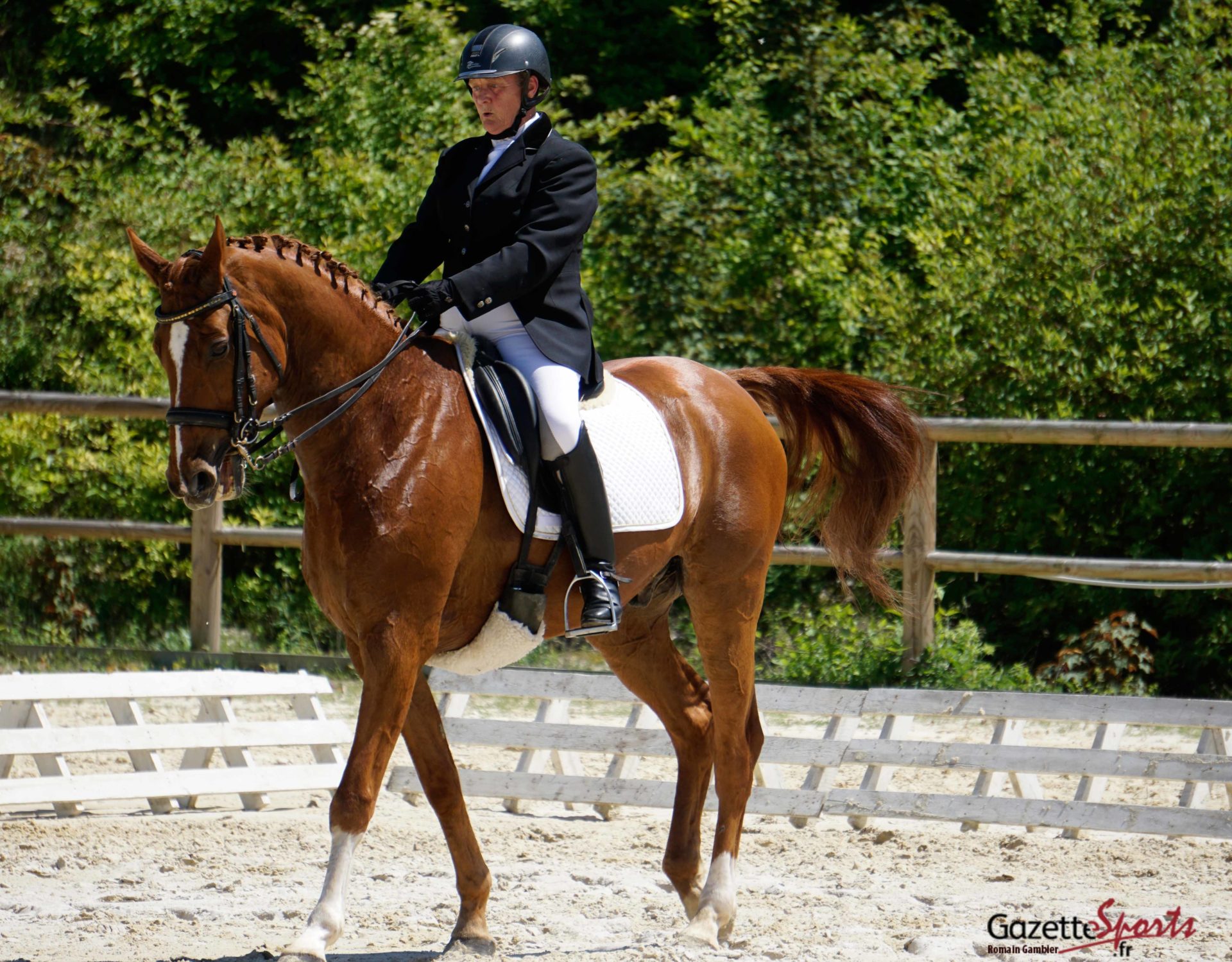 EQUITATION Revivez le concours de dressage de ce dimanche GazetteSports