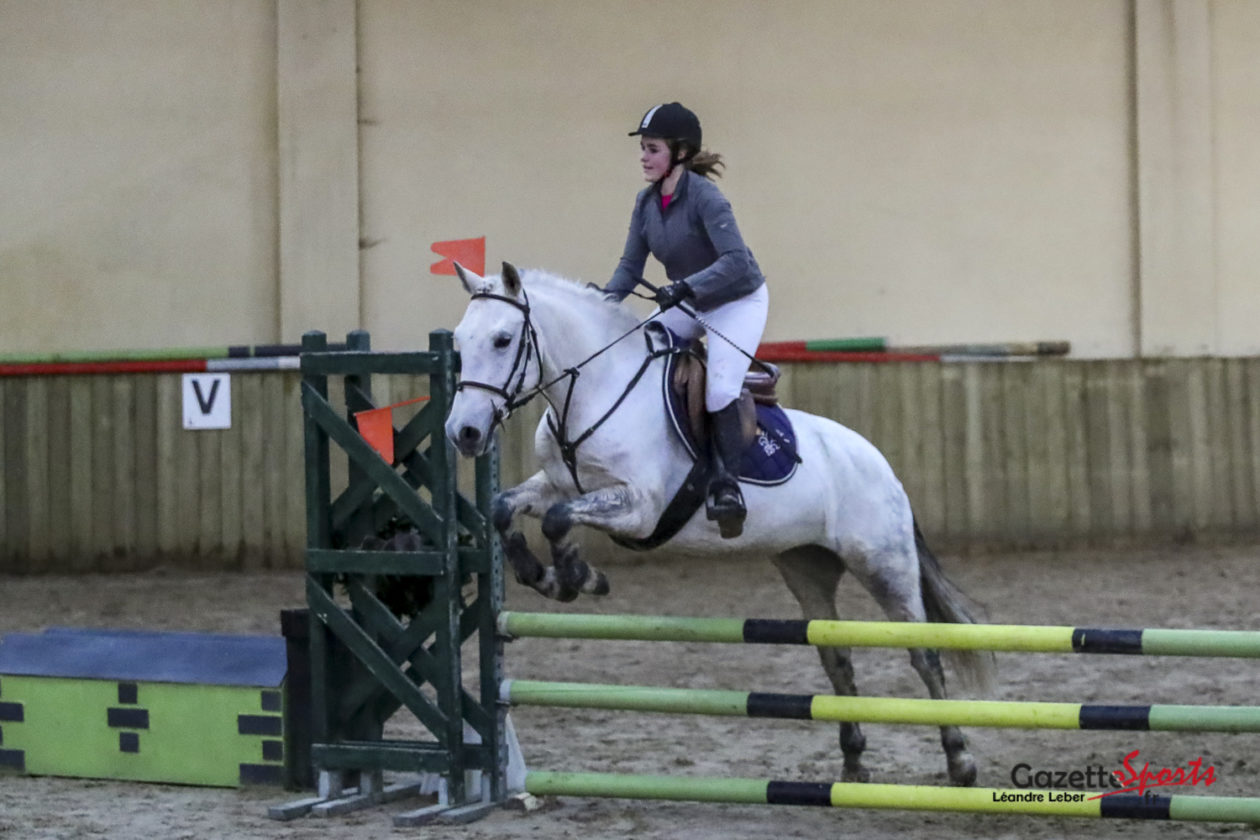 Selle D'équitation En Cuir Marron – Fabrication Française – Occasion Parfait état
