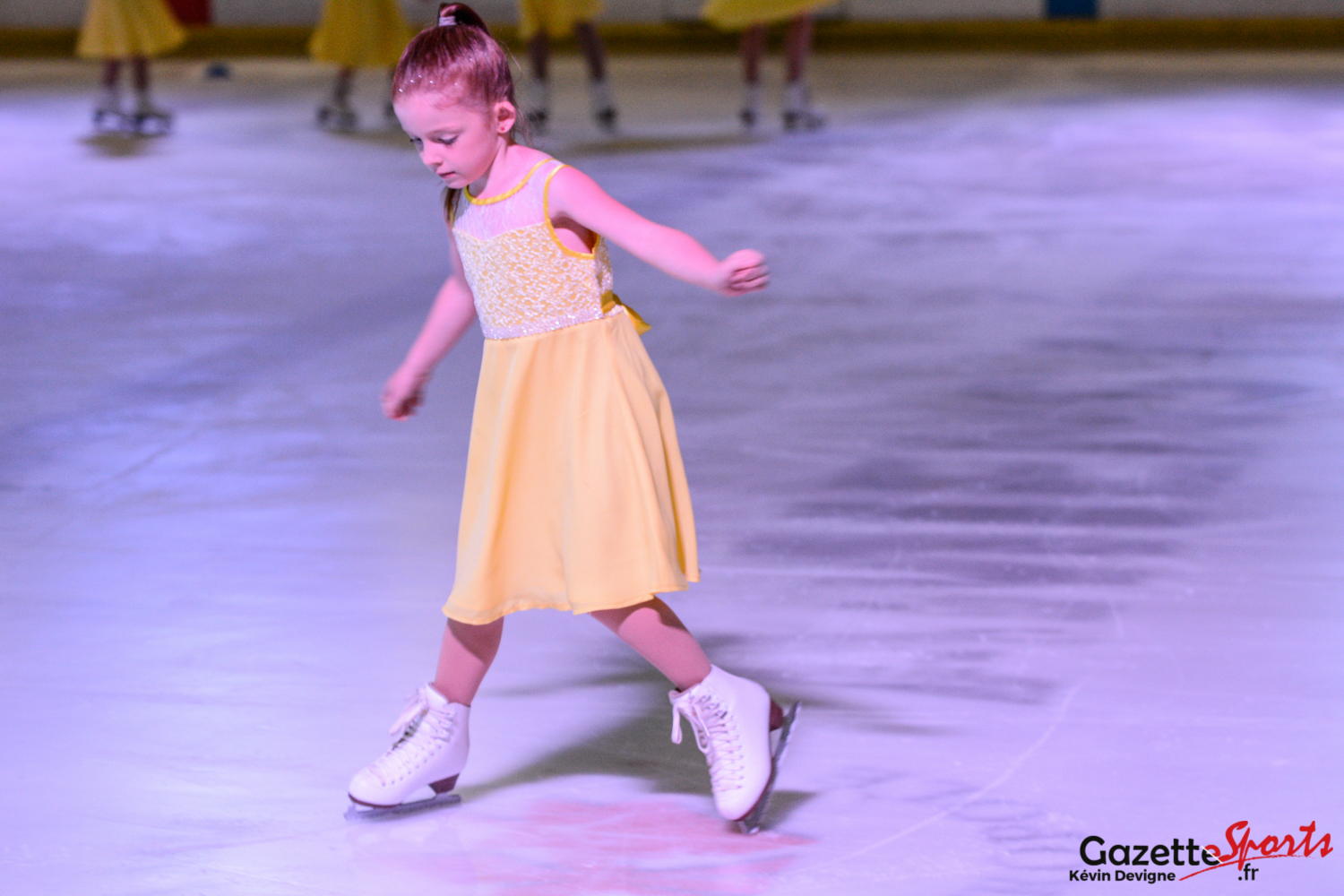 PATINAGE ARTISTIQUE : Retour En Photos Sur Le Gala De Patinage ...