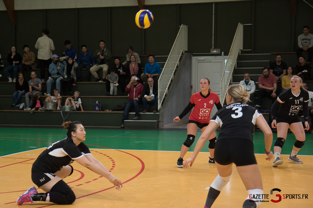 Volleyball Feminin Lamvb Vs Savigny Sur Orge (reynald Valleron) (14)