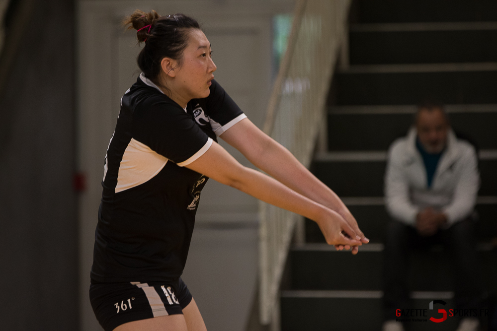 Volleyball Feminin Lamvb Vs Savigny Sur Orge (reynald Valleron) (31)