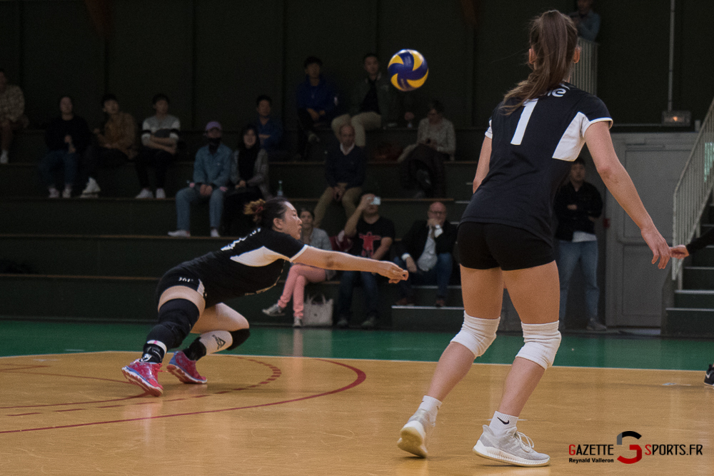 Volleyball Feminin Lamvb Vs Savigny Sur Orge (reynald Valleron) (48)