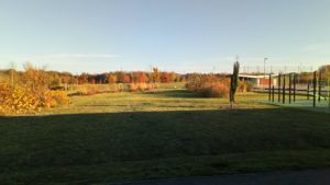 Parc Du Grand Marais D'amiens 1