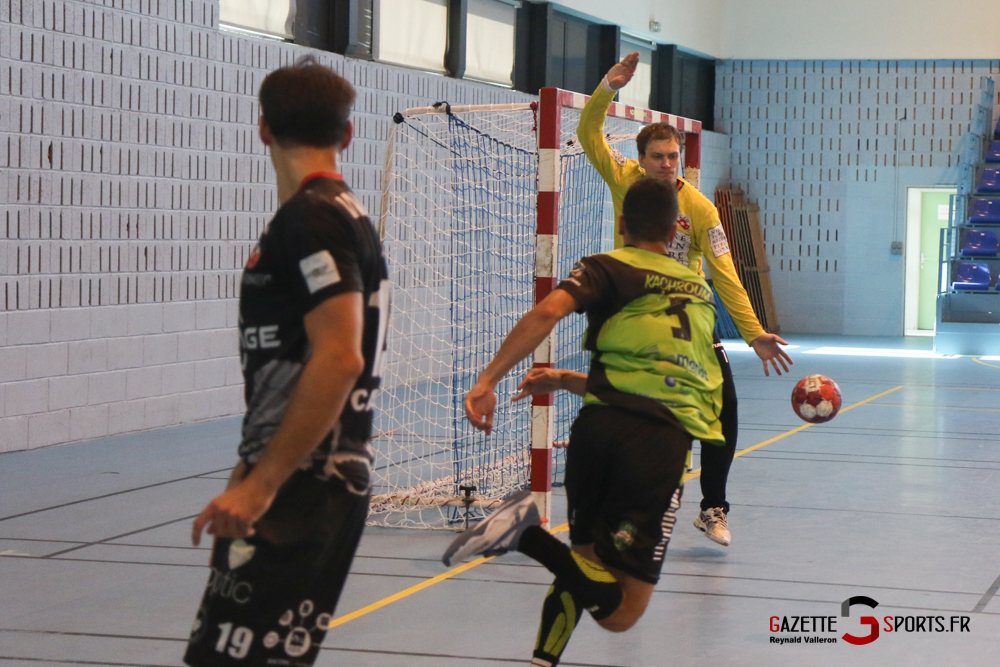 Handball Aph Vs Lille Villeneuve D'ascq (reynald Valleron) (19)