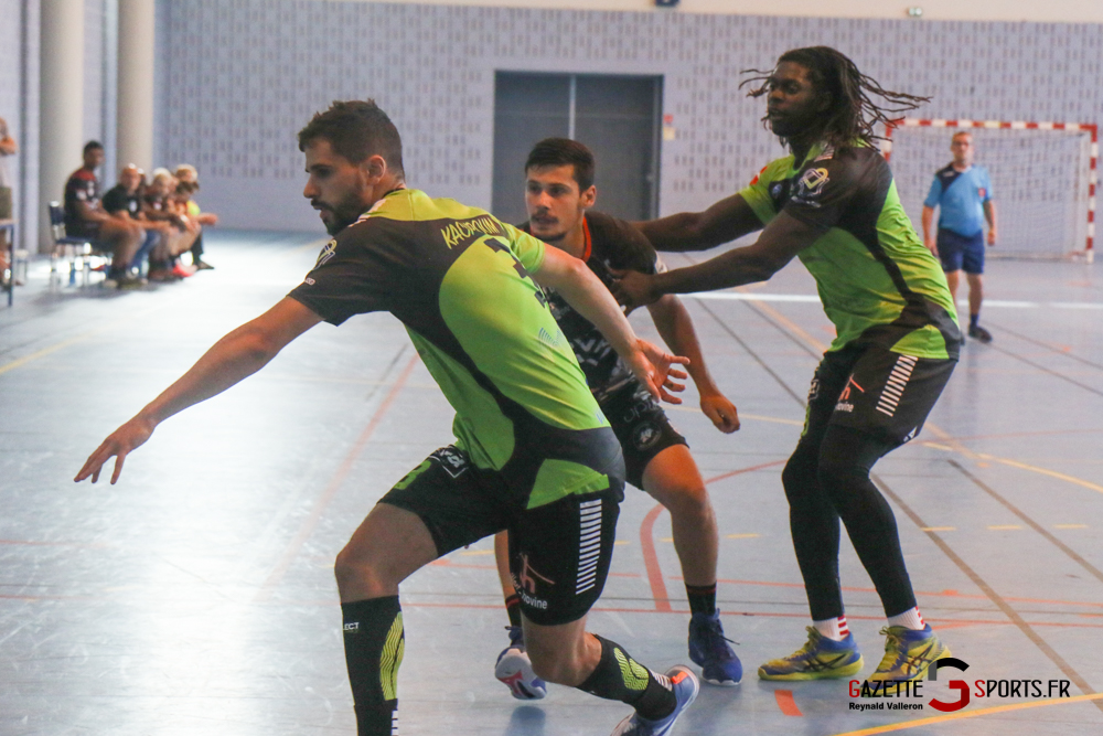 Handball Aph Vs Lille Villeneuve D'ascq (reynald Valleron) (5)