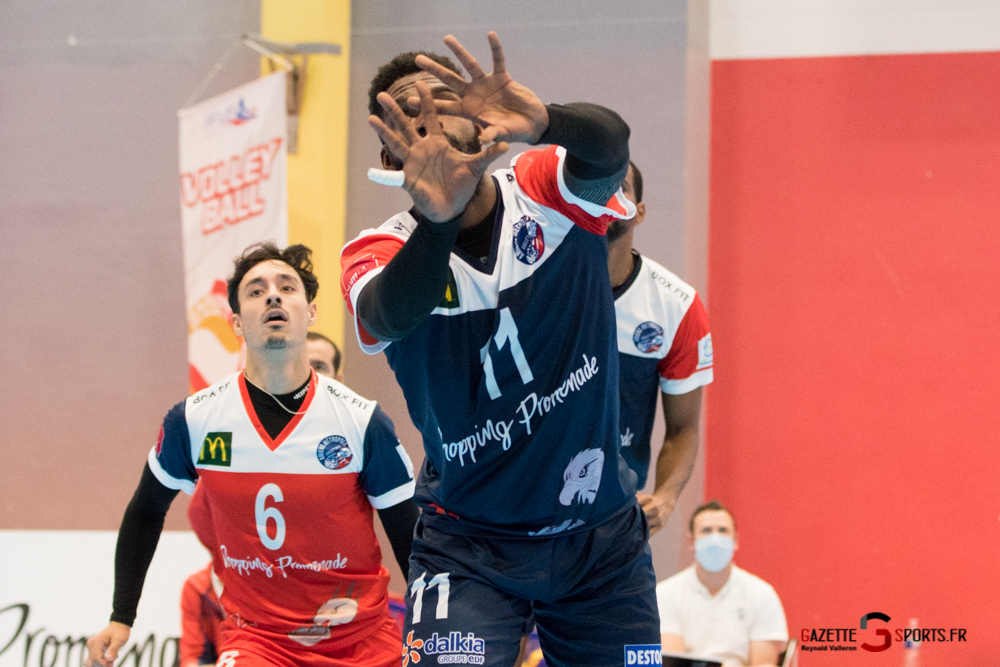 Volleyball Amvb Vs Calais Reynald Valleron 37
