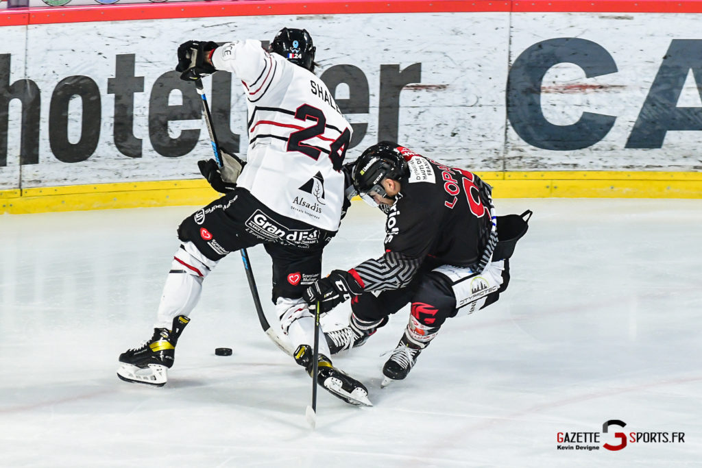 hockey ligue magnus gothiques mulhouse gazettesports kevindevigne 14