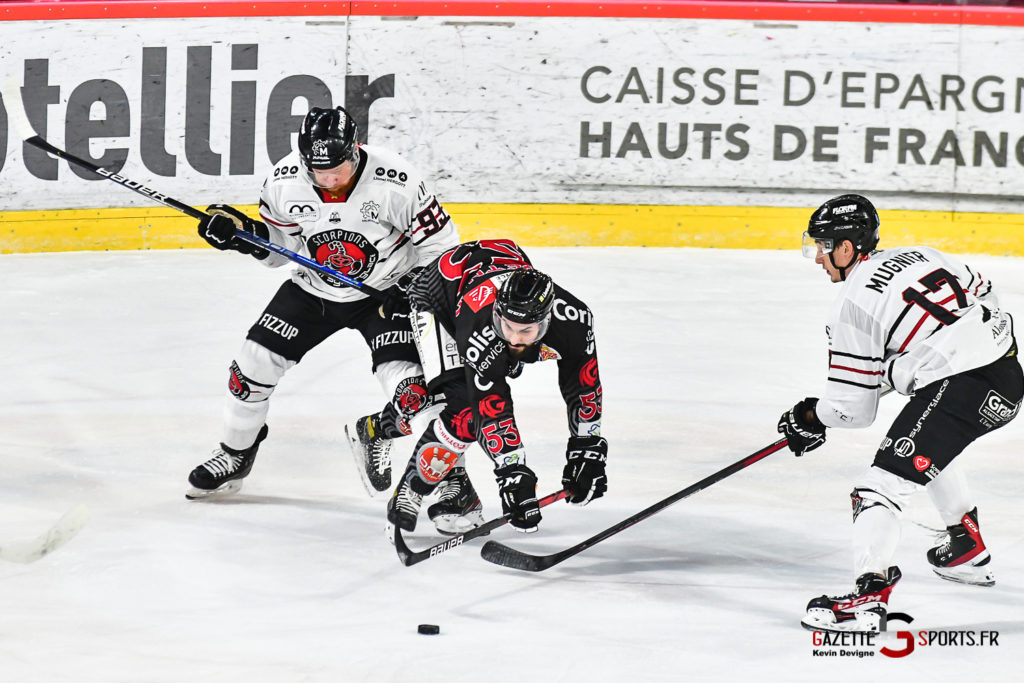 hockey ligue magnus gothiques mulhouse gazettesports kevindevigne 38