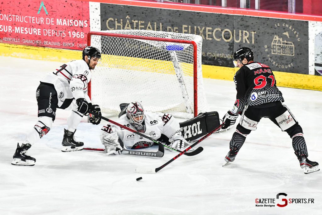 hockey ligue magnus gothiques mulhouse gazettesports kevindevigne 65