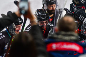 hockey ligue magnus gothiques amiens pionniers chamonix gazettesports kevindevigne 148