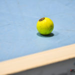 hockey sur gazon en salle amiens sc as rouen gazettesports kevindevigne 99