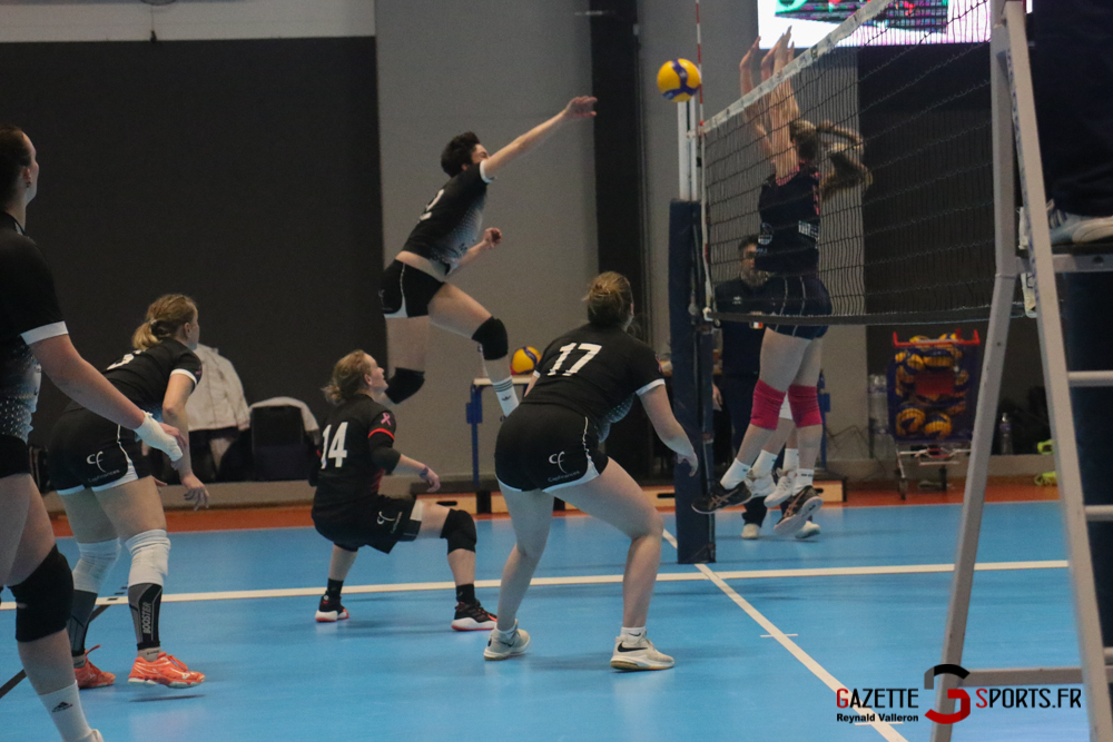 volleyball lamvb vs marcq en baroeul (reynald valleron) (25)