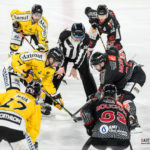 hockey sur glace gothiques amiens dragons rouen j11 gazettesports kevin devigne 36