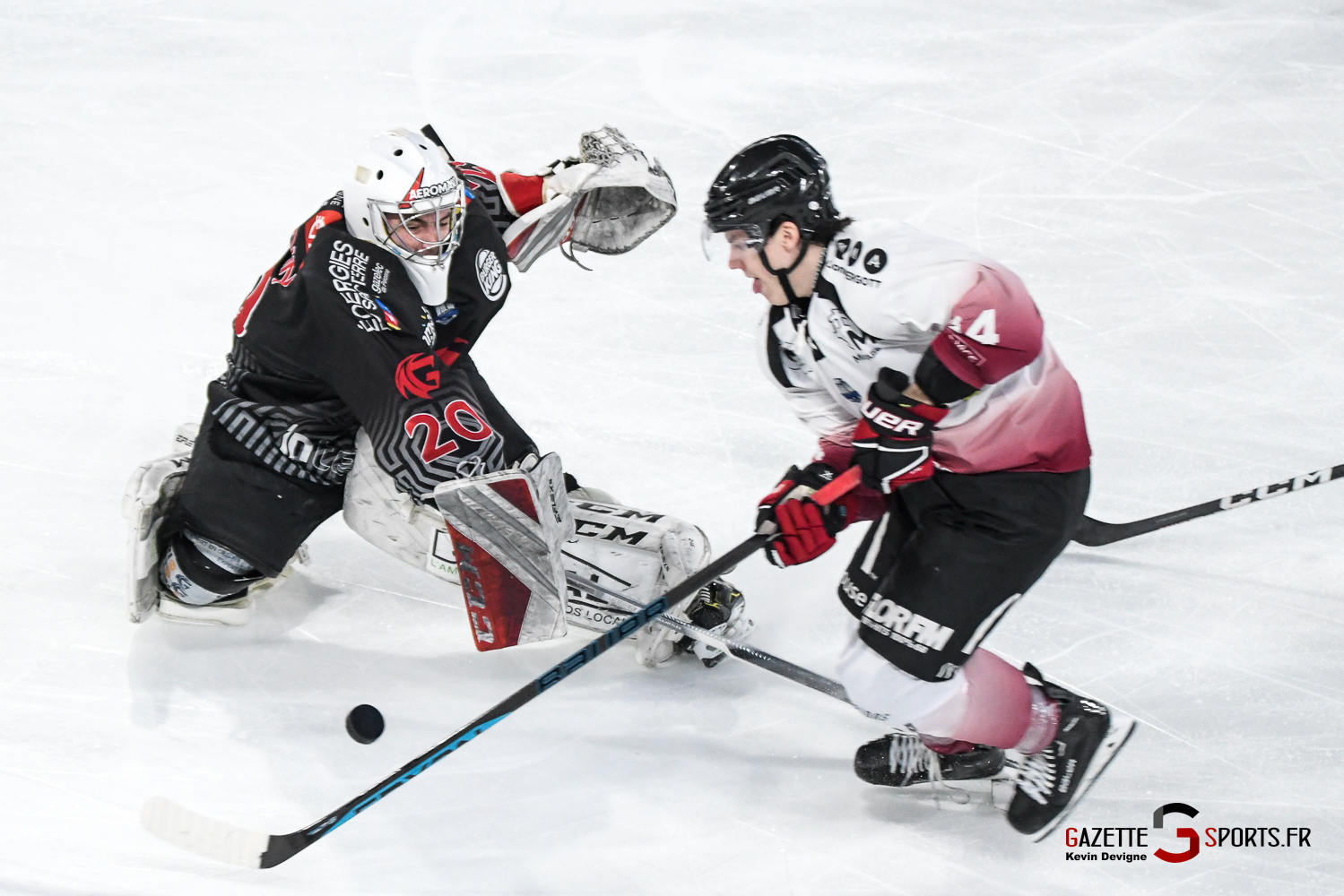 hockey sur glace gothiques scorpions de mulhouse gazettesports kevin devigne 41