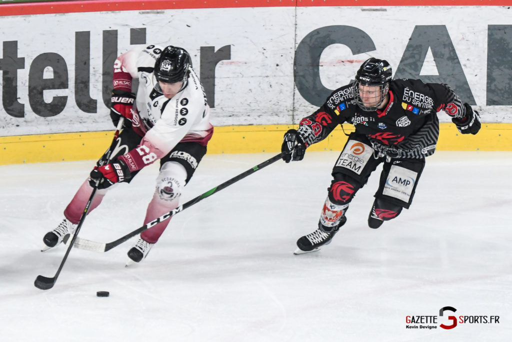 hockey sur glace gothiques scorpions de mulhouse gazettesports kevin devigne 64