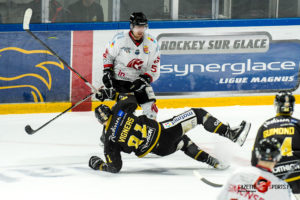 hockey sur glace ligue magnus play offs dragons de rouen gothiques amiens gazettesports kevin devigne 43