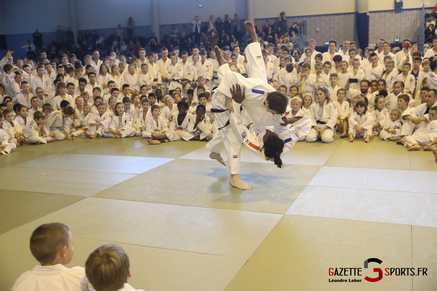 judo les mercredi hall 4 chenes lucie louette 0004 leandre leber gazettesports