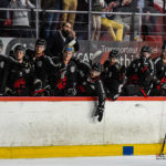 hockey sur glace ligue magnus gothiques ducs angers kevin devigne gazettesports 74