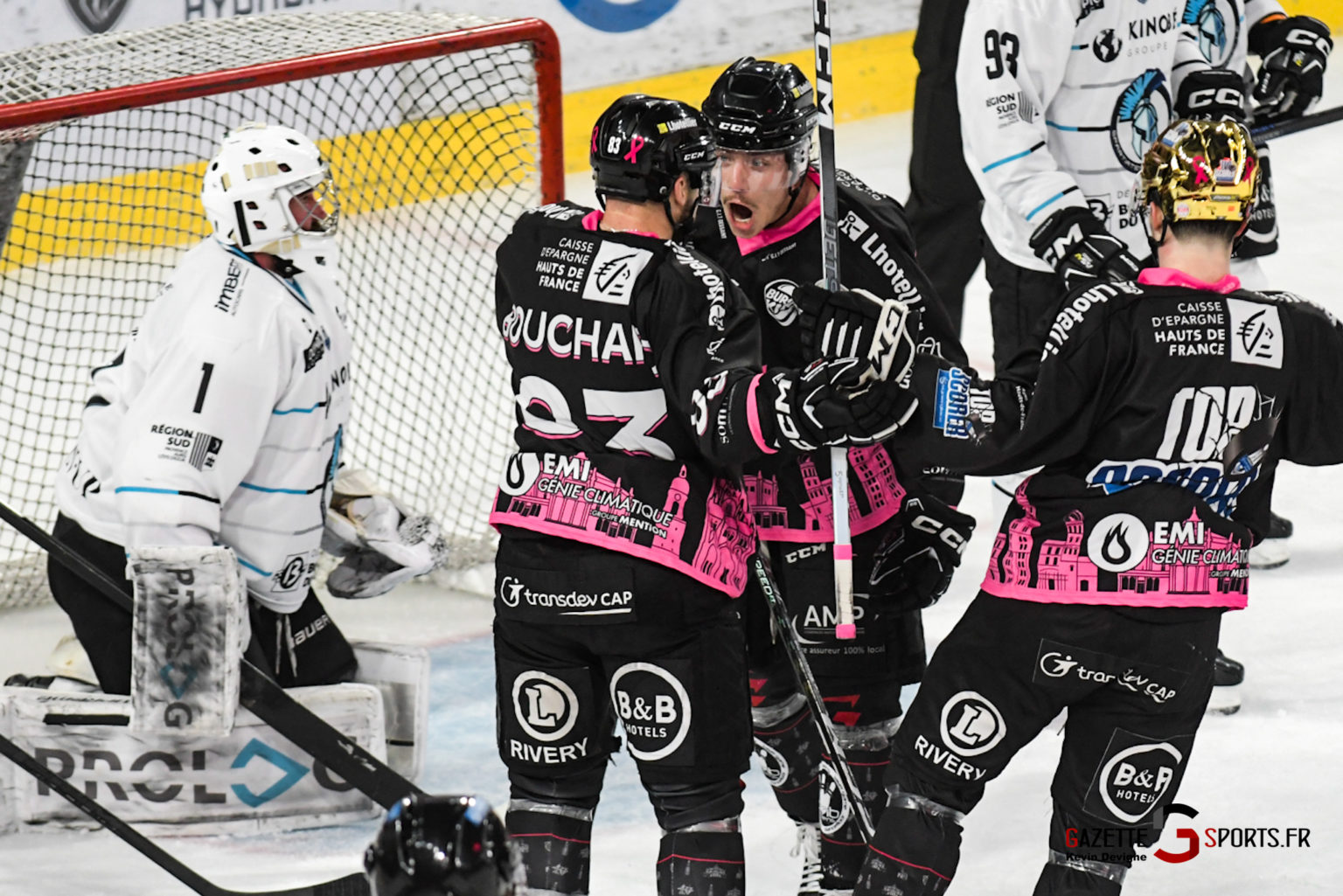 HOCKEY SUR GLACE - Ligue Magnus : Les Gothiques Refont Surface ...