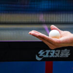tennis de table entraînement délégation japonaise gazettesports théo bégler 051
