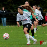 football coupe de france feminin asc f vs hénin beaumont fcf reynald valleron (21)