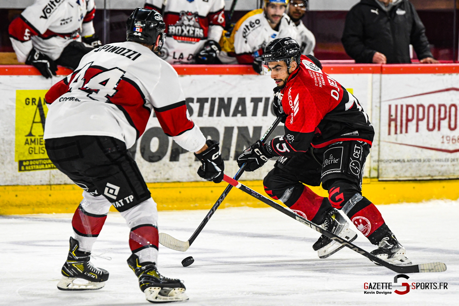 hockey sur glace gothique amiens boxers bordeaux gazettesports kevin devigne 10