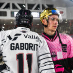 hockey sur glace ligue magnus gothiques amiens ducs angers gazettesports kevin devigne 5