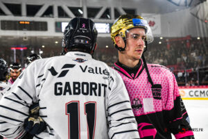 hockey sur glace ligue magnus gothiques amiens ducs angers gazettesports kevin devigne 5