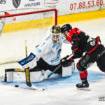 hockey sur glace ligue magnus gothiques amiens spartiates marseille gazettesports kevin devigne 5