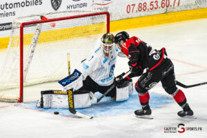 hockey sur glace ligue magnus gothiques amiens spartiates marseille gazettesports kevin devigne 5