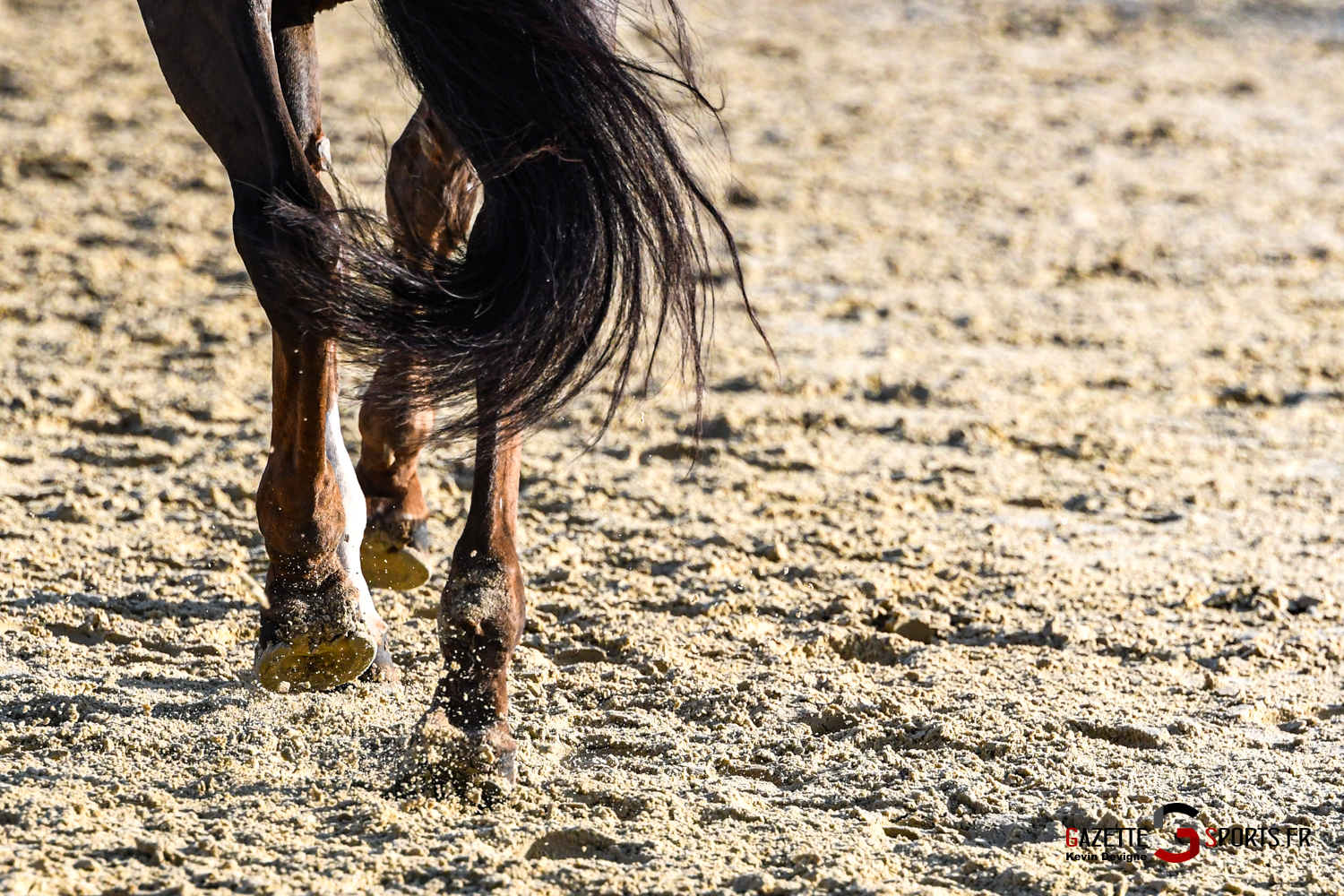 equitation concours national de dressage pniey club amiens 2024 gazettesports kevin devigne 32