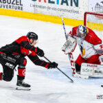 hockey sur glace ligue magnus gothiques amiens bruleurs de loups grenoble gazettesports kevin devigne 26