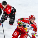 hockey sur glace ligue magnus gothiques amiens bruleurs de loups grenoble gazettesports kevin devigne 33