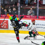 hockey sur glace ligue magnus gothiques amiens hormadi anglet gazettesports kevin devigne 20