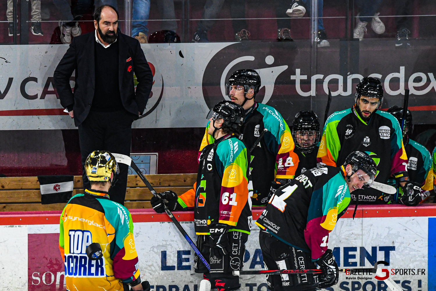 hockey sur glace ligue magnus gothiques amiens hormadi anglet gazettesports kevin devigne 38