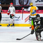 hockey sur glace ligue magnus gothiques amiens hormadi anglet gazettesports kevin devigne 7