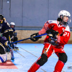 roller hockey north squirrels amiens lillechevaliers bayard gazettesports kevin devigne 17