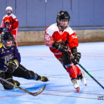 roller hockey north squirrels amiens lillechevaliers bayard gazettesports kevin devigne 19