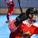 roller hockey north squirrels amiens lillechevaliers bayard gazettesports kevin devigne 22