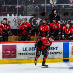 hockey sur glace ligue magnus gothiques amiens jokers cergy pontoise kevin devigne gazette sports