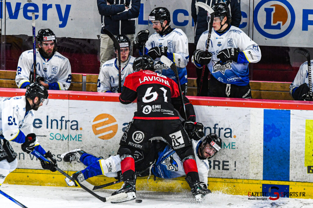 hockey sur glace ligue magnus gothiques amiens rapaces gap kevin devigne gazette sports 10