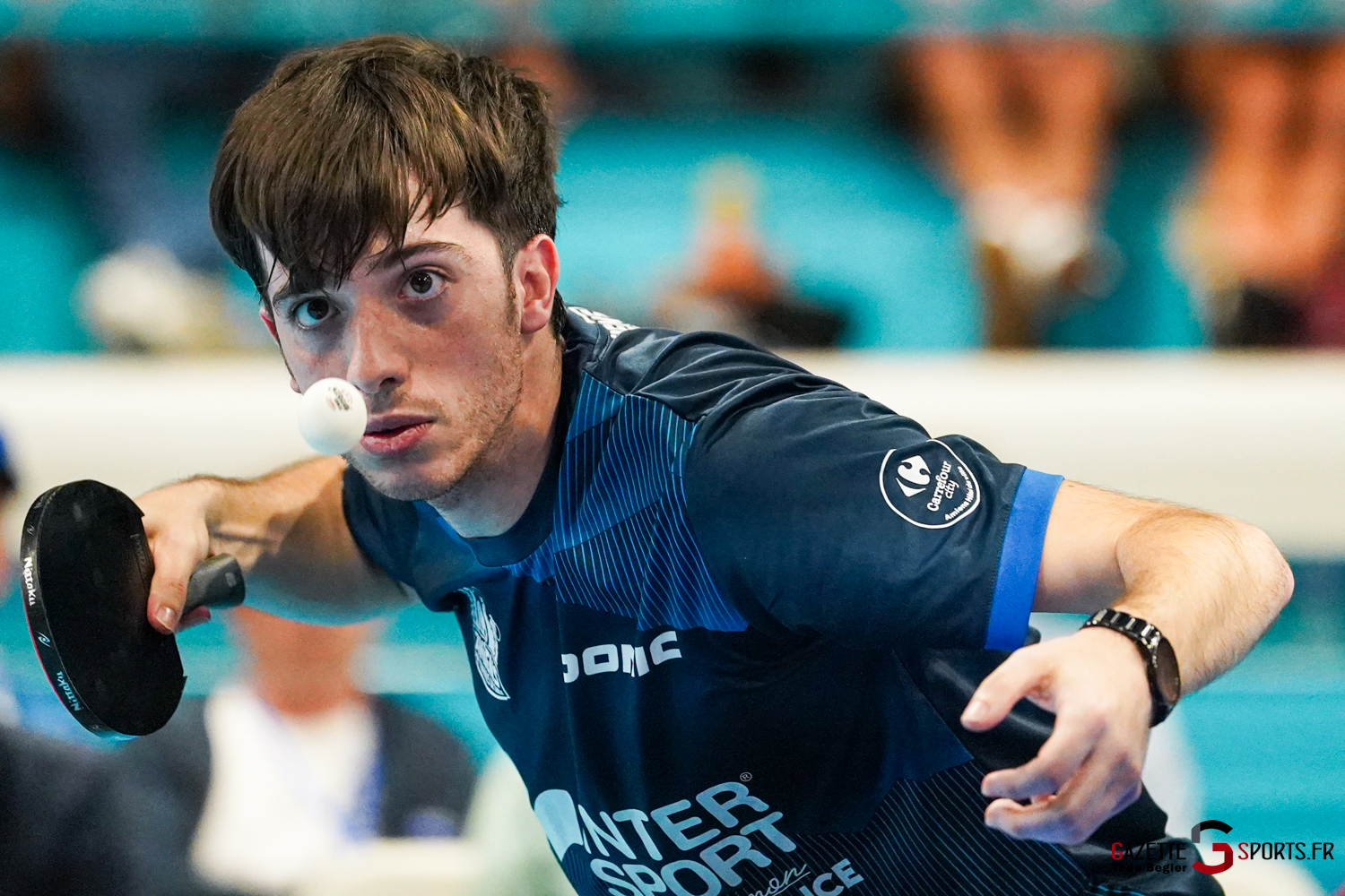 tennis de table pro b demi finale play downs astt amiens sport tennis de table le havre gazette sports théo bégler 052