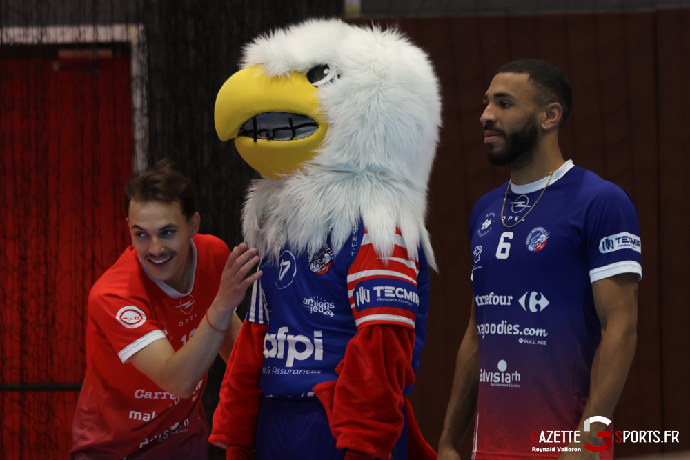 volley ball élite amvb amiens charenton gazette sports reynald valleron 43