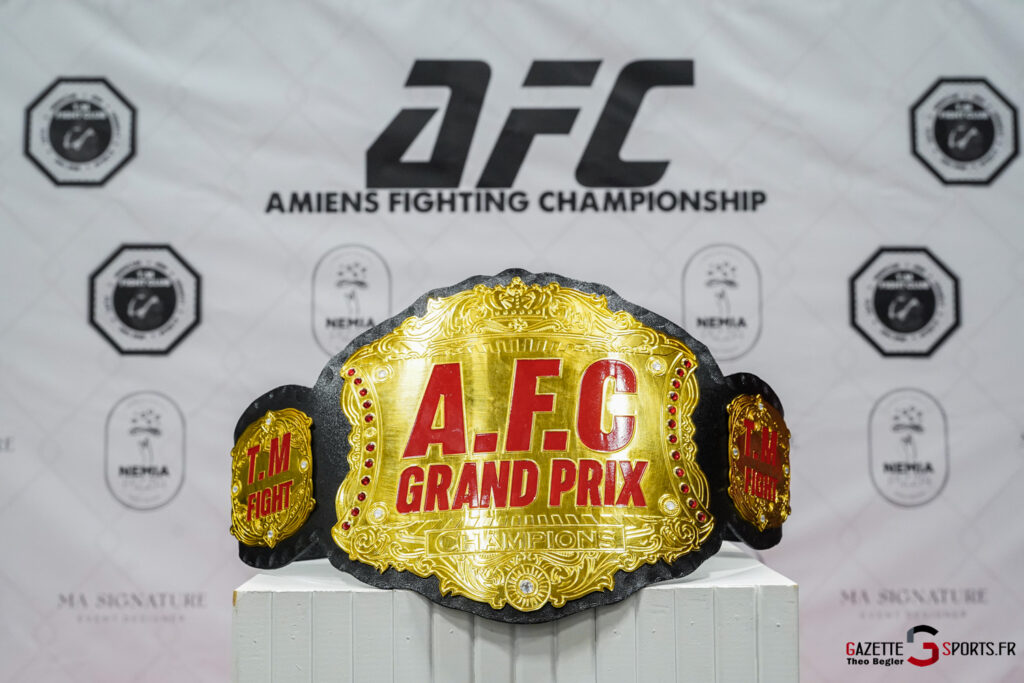 mma tm fight amiens grand prix amateur amiens fighting championship afc 2025 gazette sports théo bégler 040