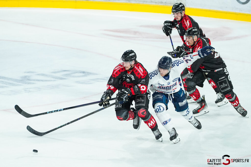 hockey sur glace ligue magnus j6 gothiques amiens ducs angers gazette sports théo bégler 006
