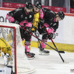 hockey sur glace ligue magnus amiens les gothiques vs rouen les dragons leandre leber gazettesports (27)