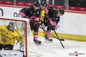 hockey sur glace ligue magnus amiens les gothiques vs rouen les dragons leandre leber gazettesports (27)