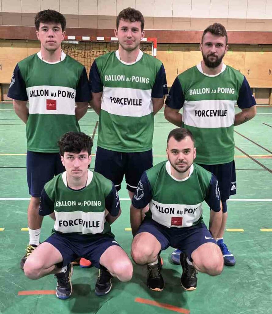 excellence forceville