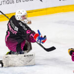 hockey sur glace ligue elite féminine gothiques amiens jokers cergy pontoise gazette sports theo begler 003